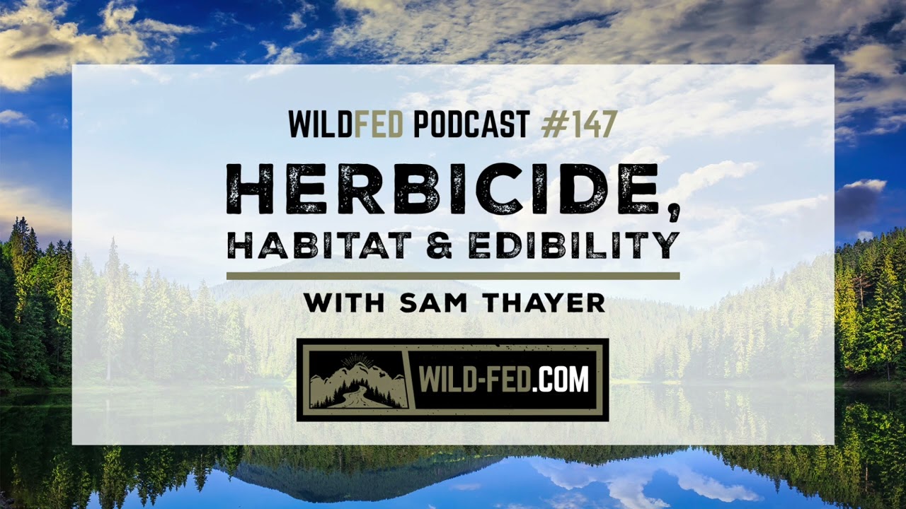 Herbicide, Habitat & Edibility with Sam Thayer &mdash; WildFed Podcast #147