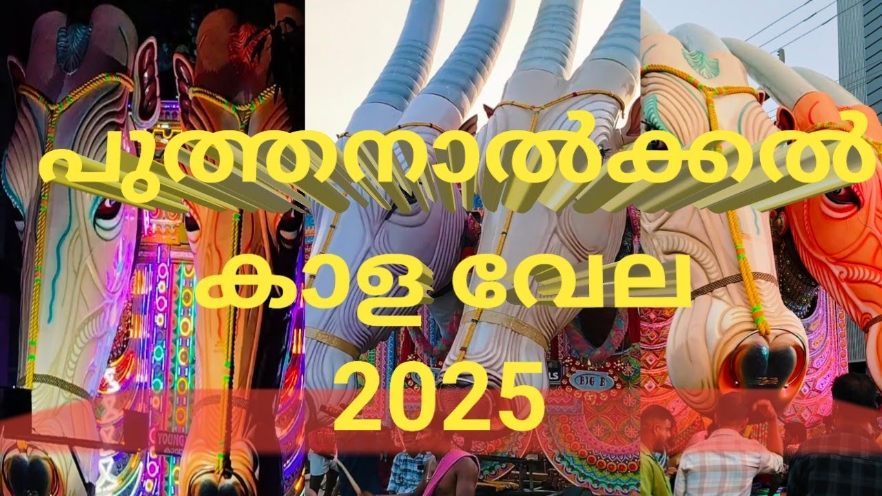 പുത്തനാൽക്കൽ കാള വേല 2025/puthanalkkal kala vela