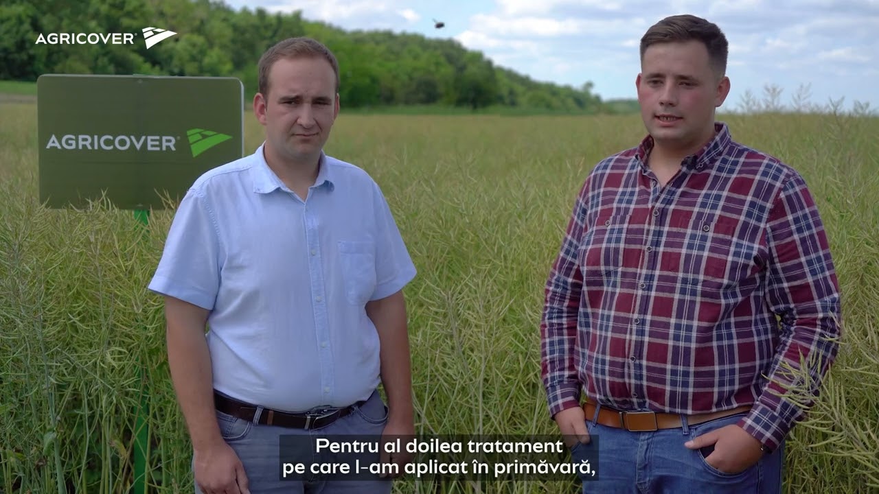 Tehnologia de top recomandată de specialiștii Agricover pentru rapiță: 