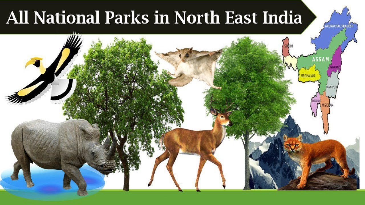 All National Park in North East States of India - Static General Knowledge - Current Affairs 2019