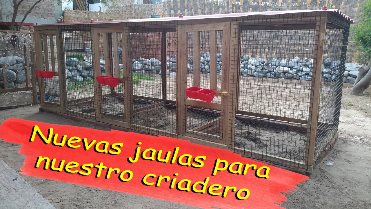 JAULA O CASILLERO PARA PAVOS REPRODUCTORES*facil de hacer *como hacer jaulas *como hacer casilleros
