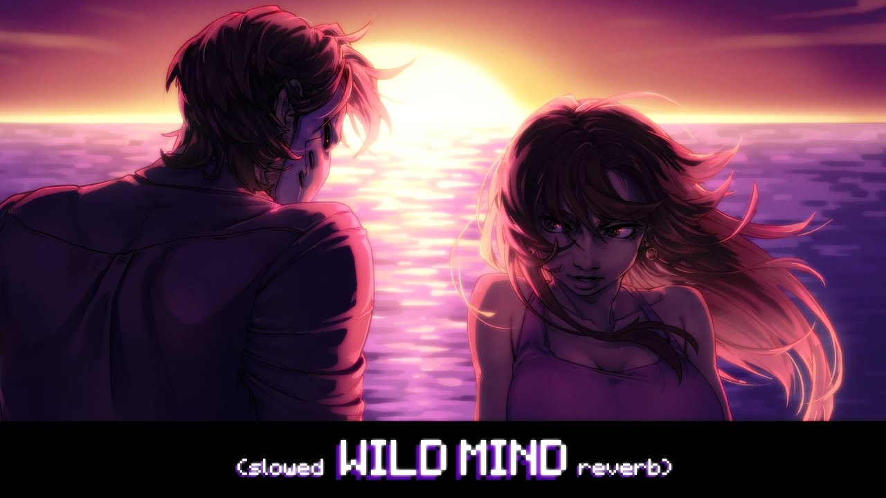 Party Hard — Wild Mind (slowed + reverb)