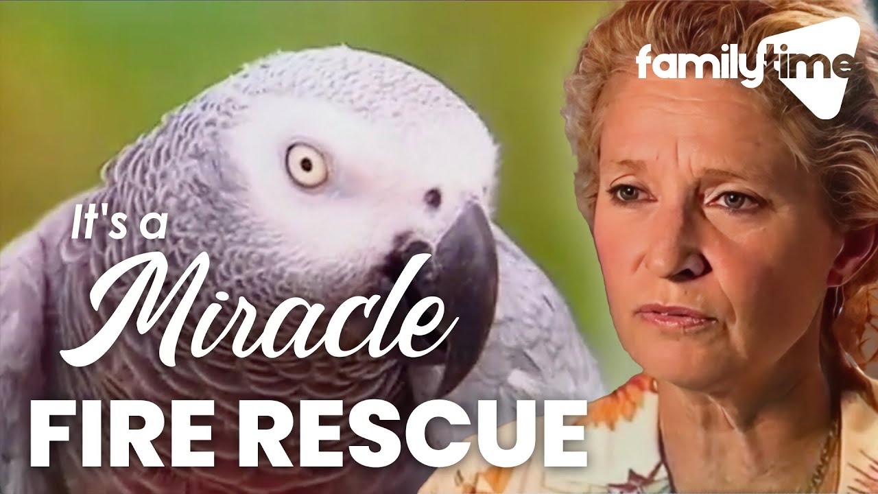 Her Parrot Raised The Fire Alarm | It's A Miracle
