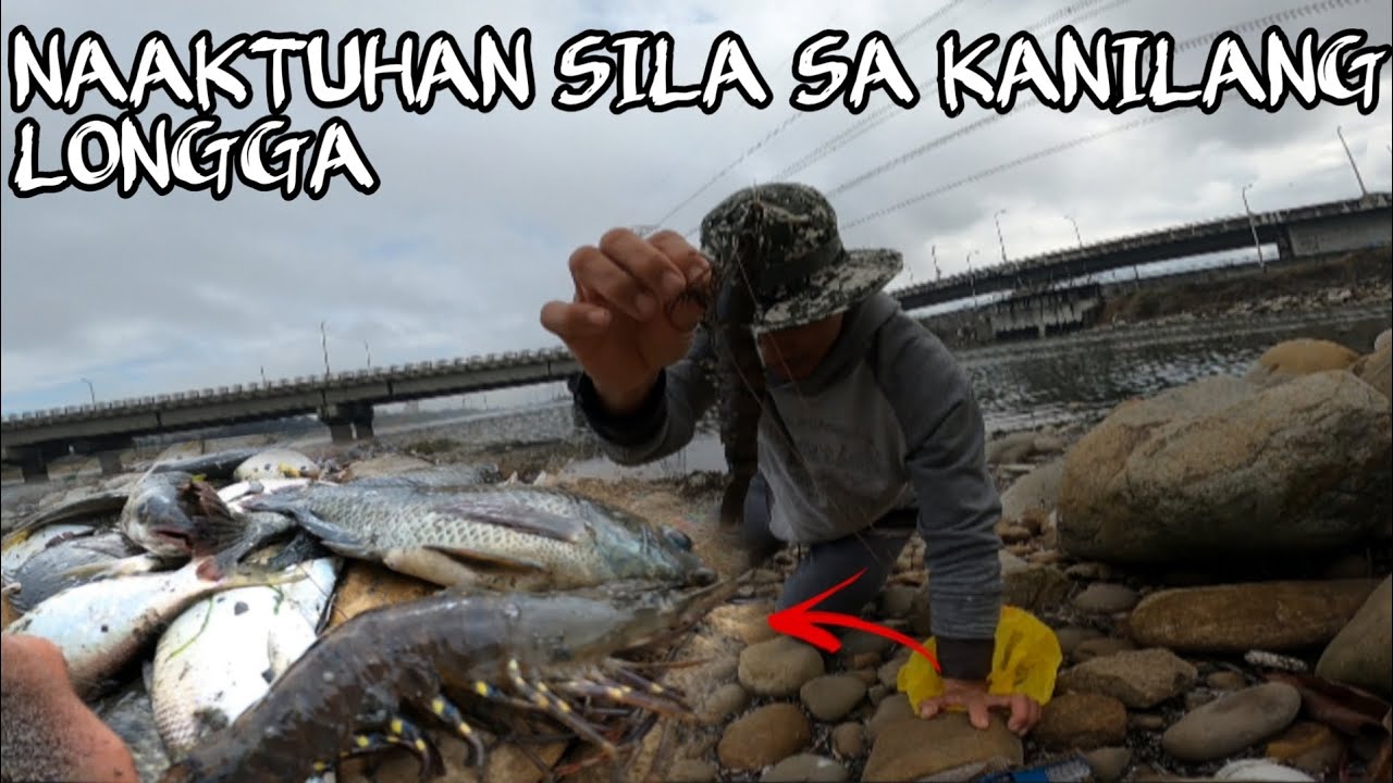 MAMAHALIN seafood Bihirang mahuli nasakloban ng lambat sa KANILANG LONGGA  @BHONTV-31 #fishing  