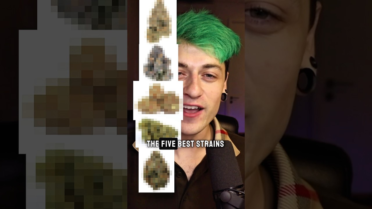5 best strains of all time!