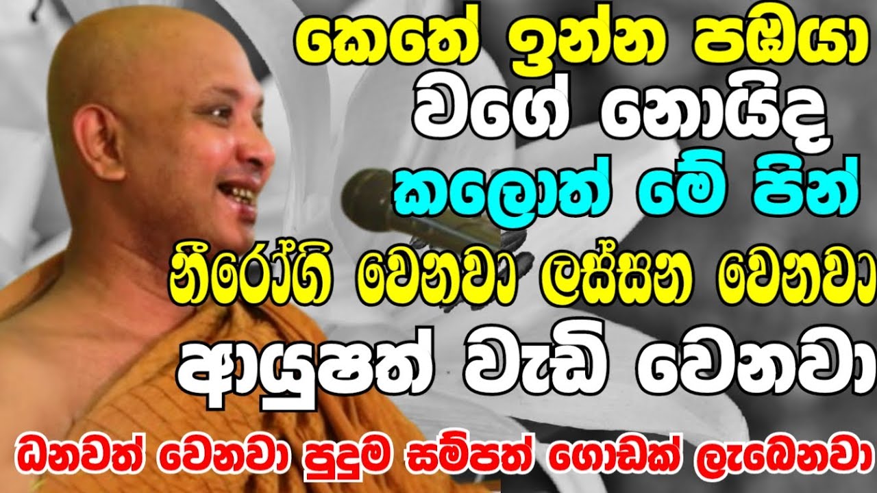 කෙතේ ඉන්න පඹයා වගේ නොයිද මේ පින් කලොත් පුදුම සම්පතක් ලැබෙනවා | Ven Boralle Kovida Thero bana 2024