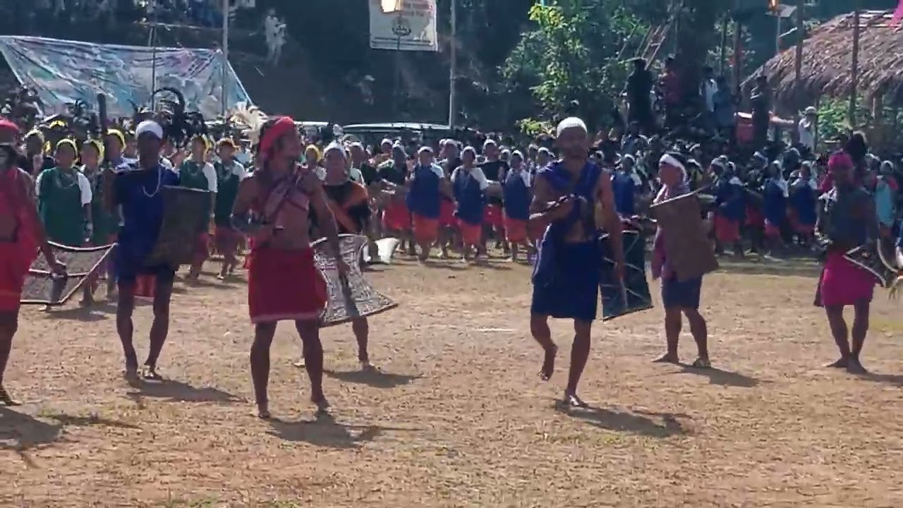 Chibragre 100 wangalla