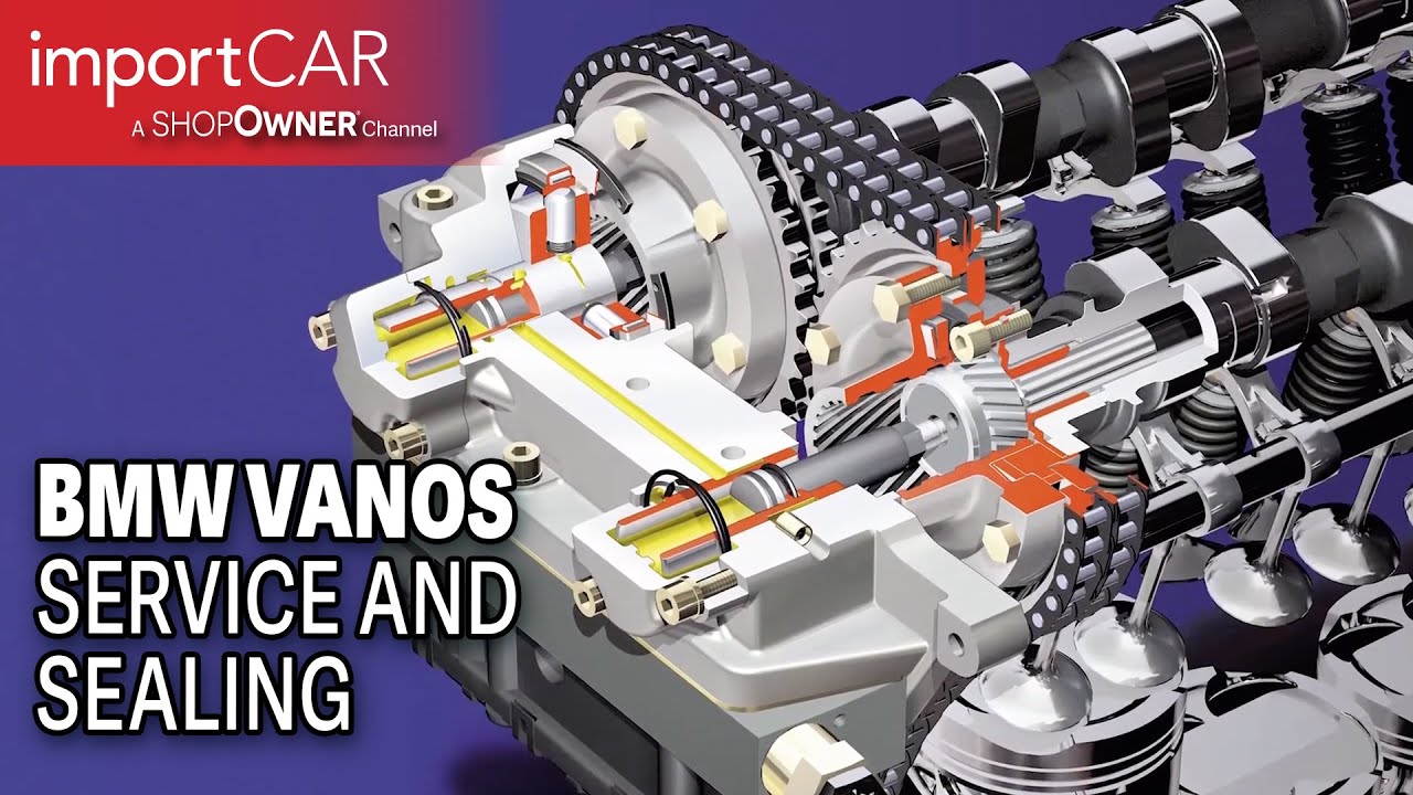 BMW VANOS Service and Sealing