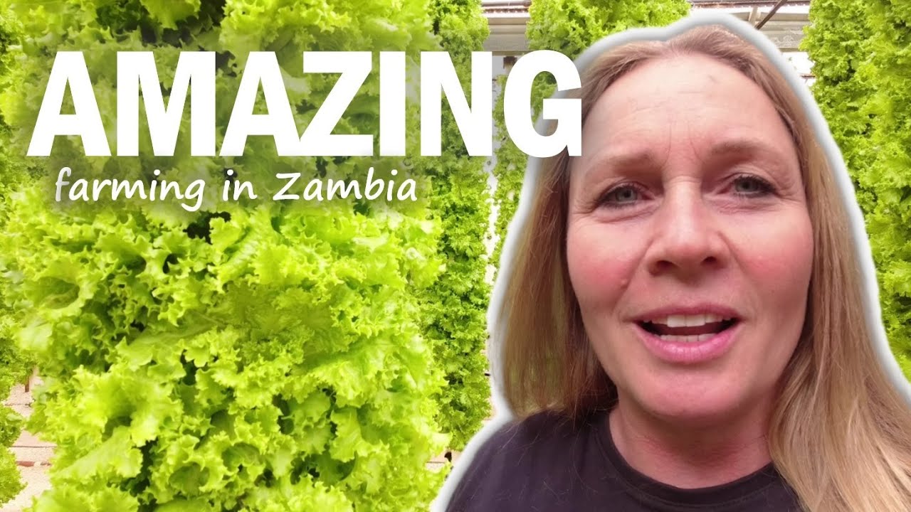 I wanted to see this innovative way of farming in Zambia!