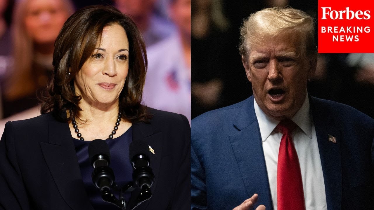 Top Pollster Explains How Energy Behind Kamala Harris 'Has Completely Changed This Election'