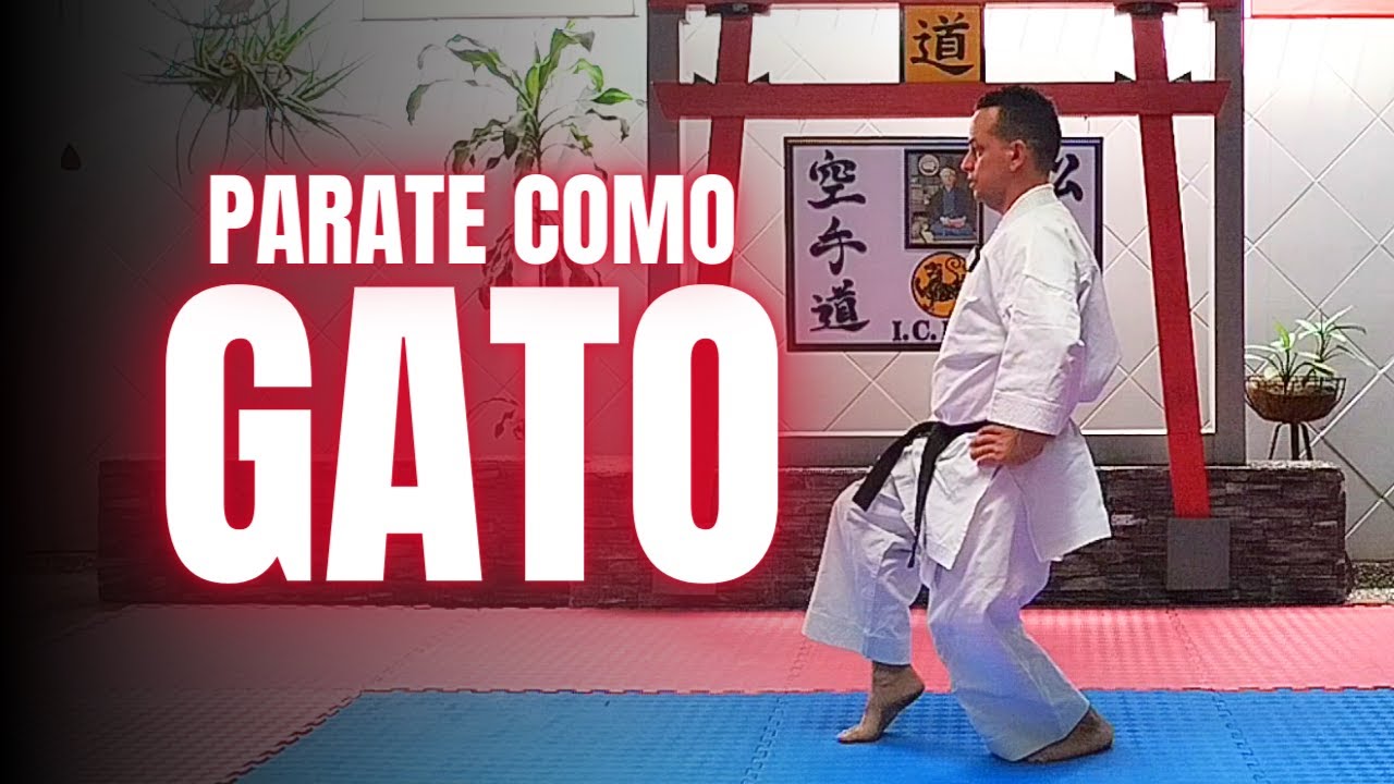 😼 Domina Neko ashi dachi / Posición de gato