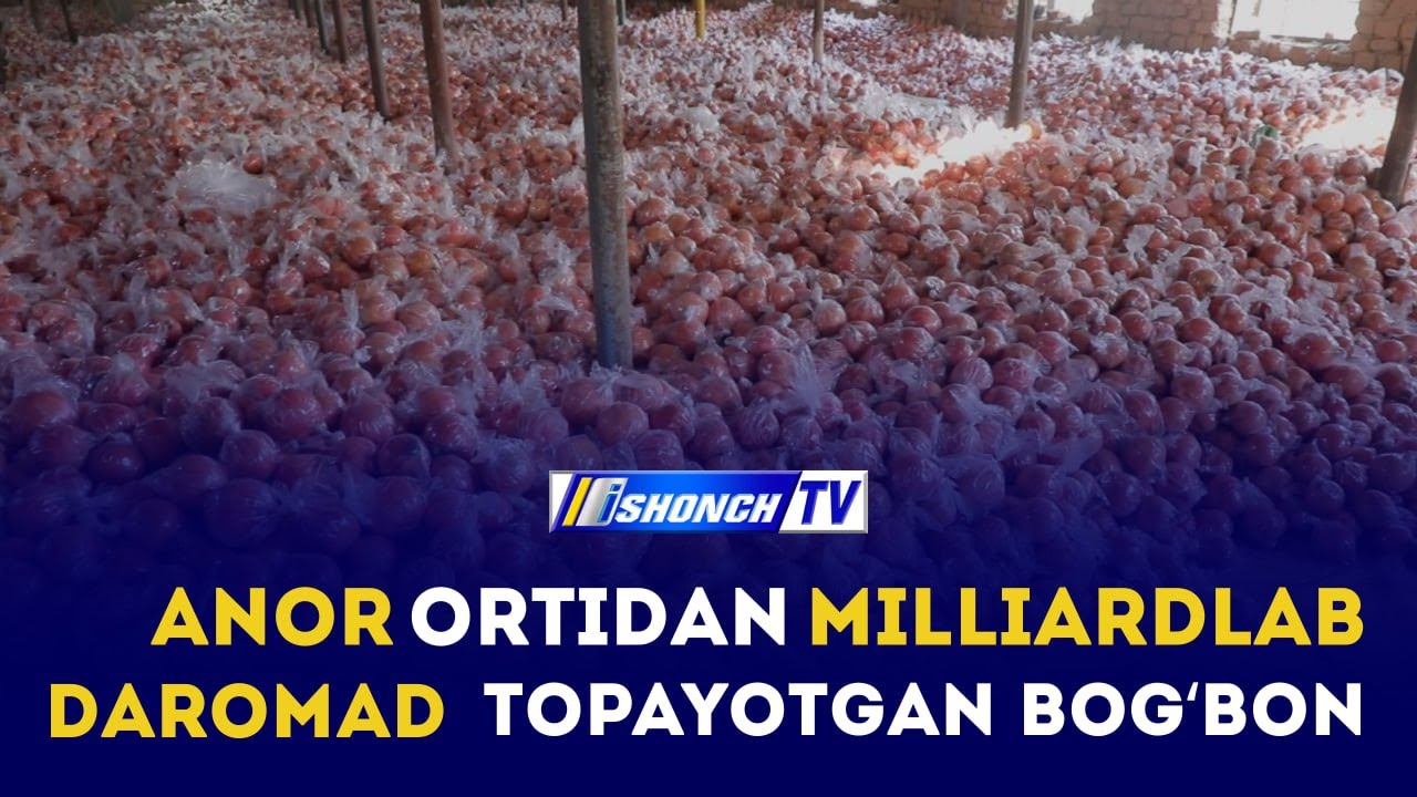 ANOR ORTIDAN MILLIARDLAB DAROMAD TOPAYOTGAN BOG'BON #rek #yangiliklar #xabarlar #tv #live #film