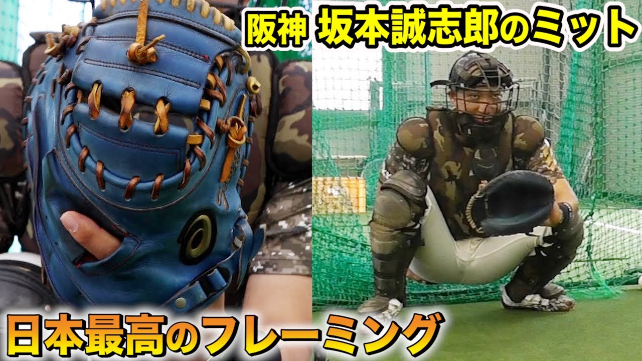 ダルビッシュが認めた男…坂本誠志郎のミット。めっちゃいい。