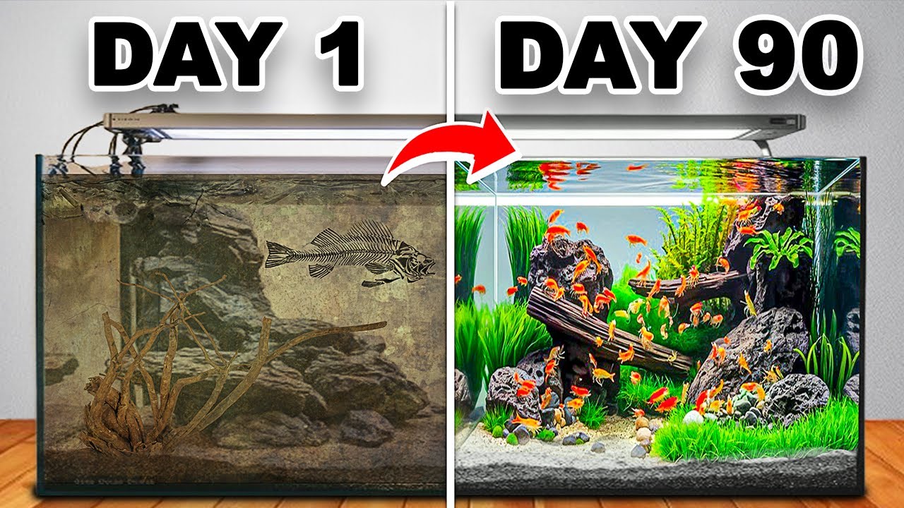 I Built a Giant Shrimp Ecosystem