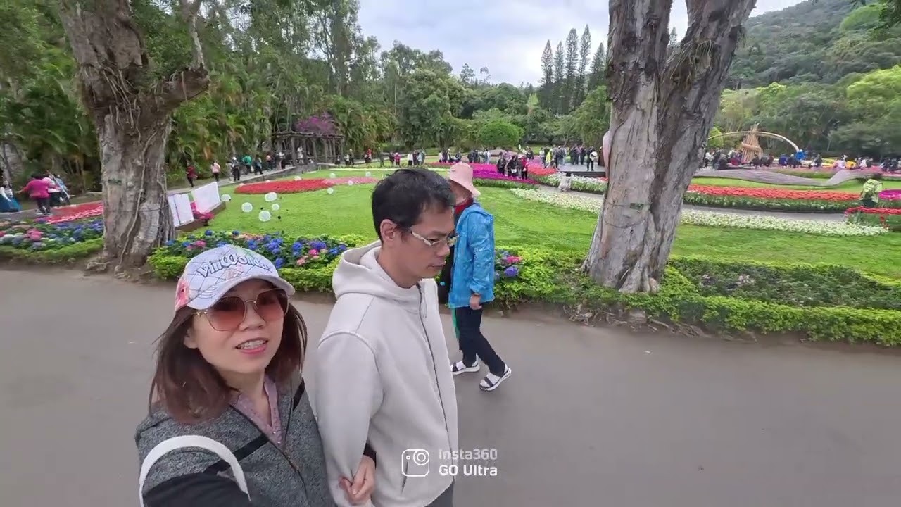 士林官邸看鬱金香