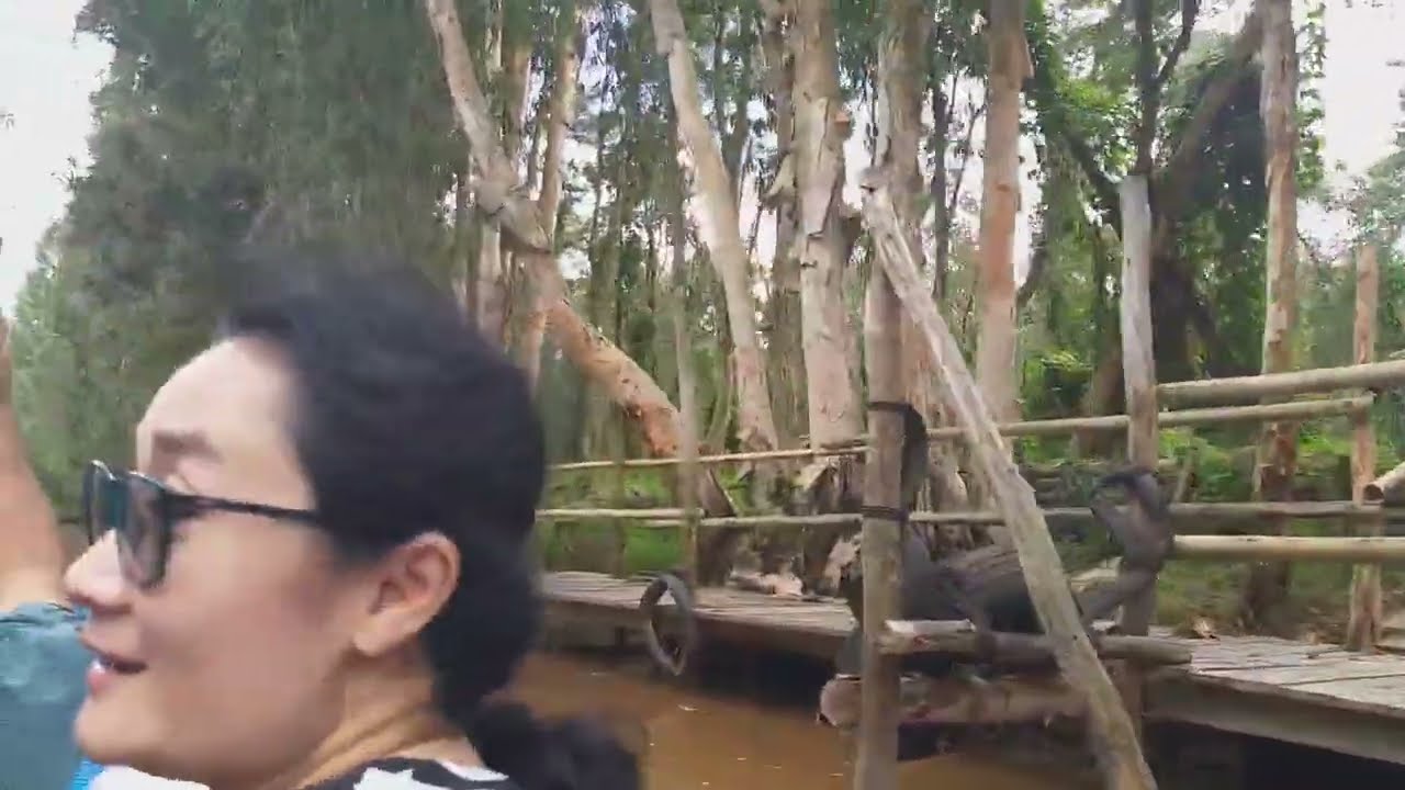 Đi tàu ở Rừng tràm Trà Sư Tịnh Biên, tỉnh An Giang | độccư_cuộcsốngngườigià @độccư_cuộcsốngngườigià