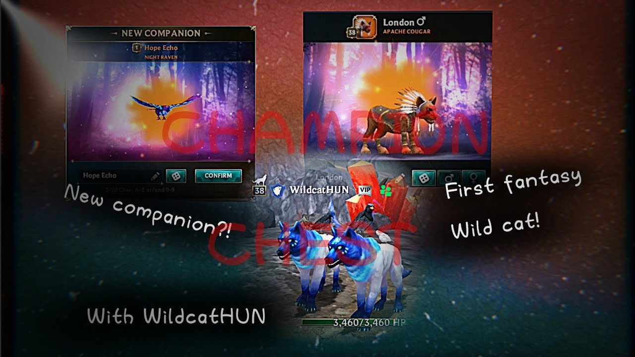 Wolf tales - Opening my first champion chest, Playing PvP and more!