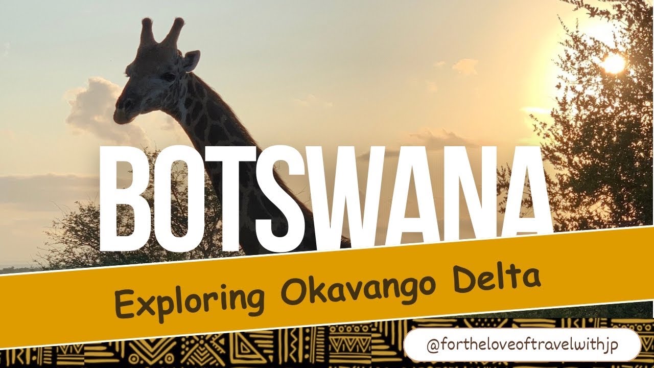 Exploring the Okavango from Amber River Camp ​@fortheloveoftravelwithjp r