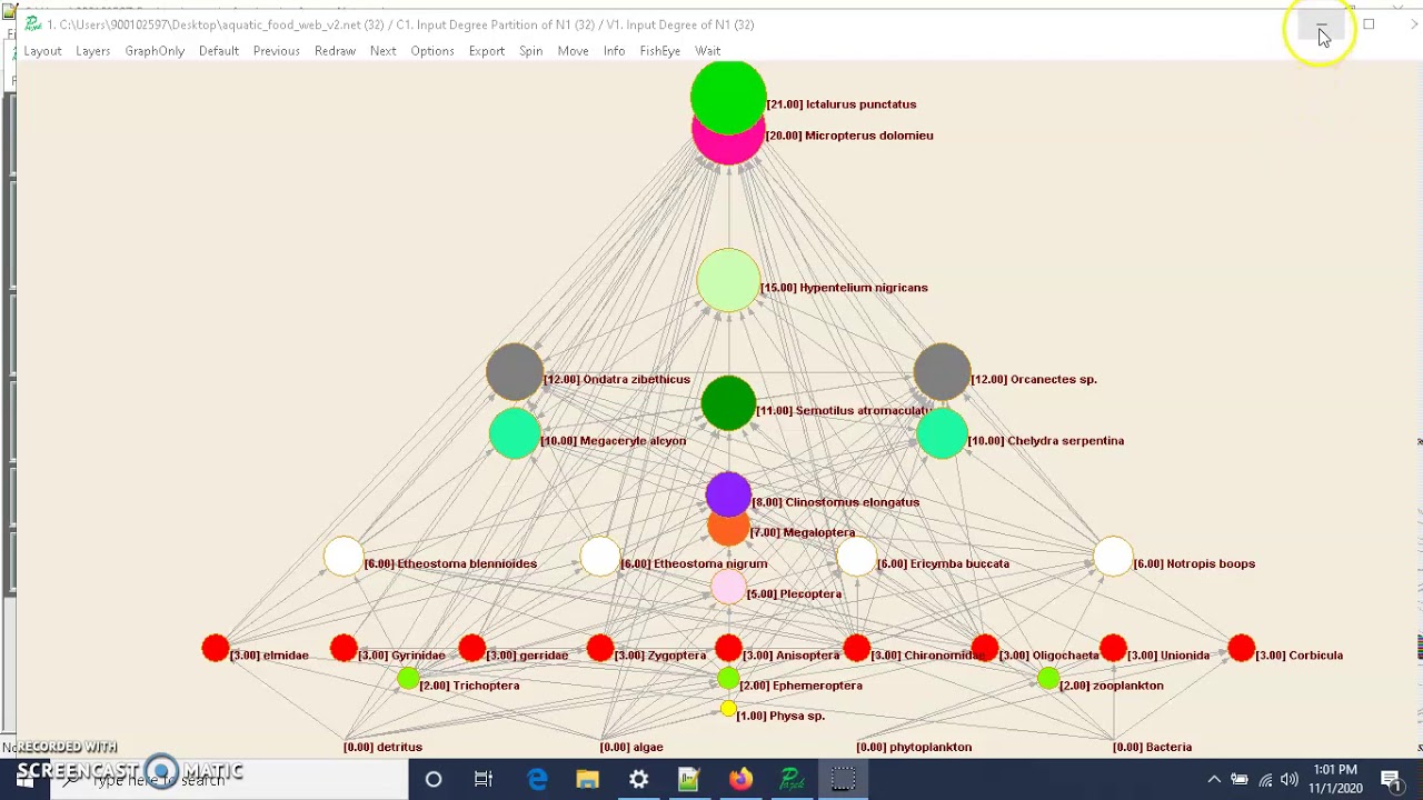 Working with food webs in Pajek