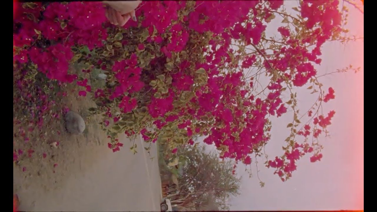LOVING - NIHILIST KITE FLYER
