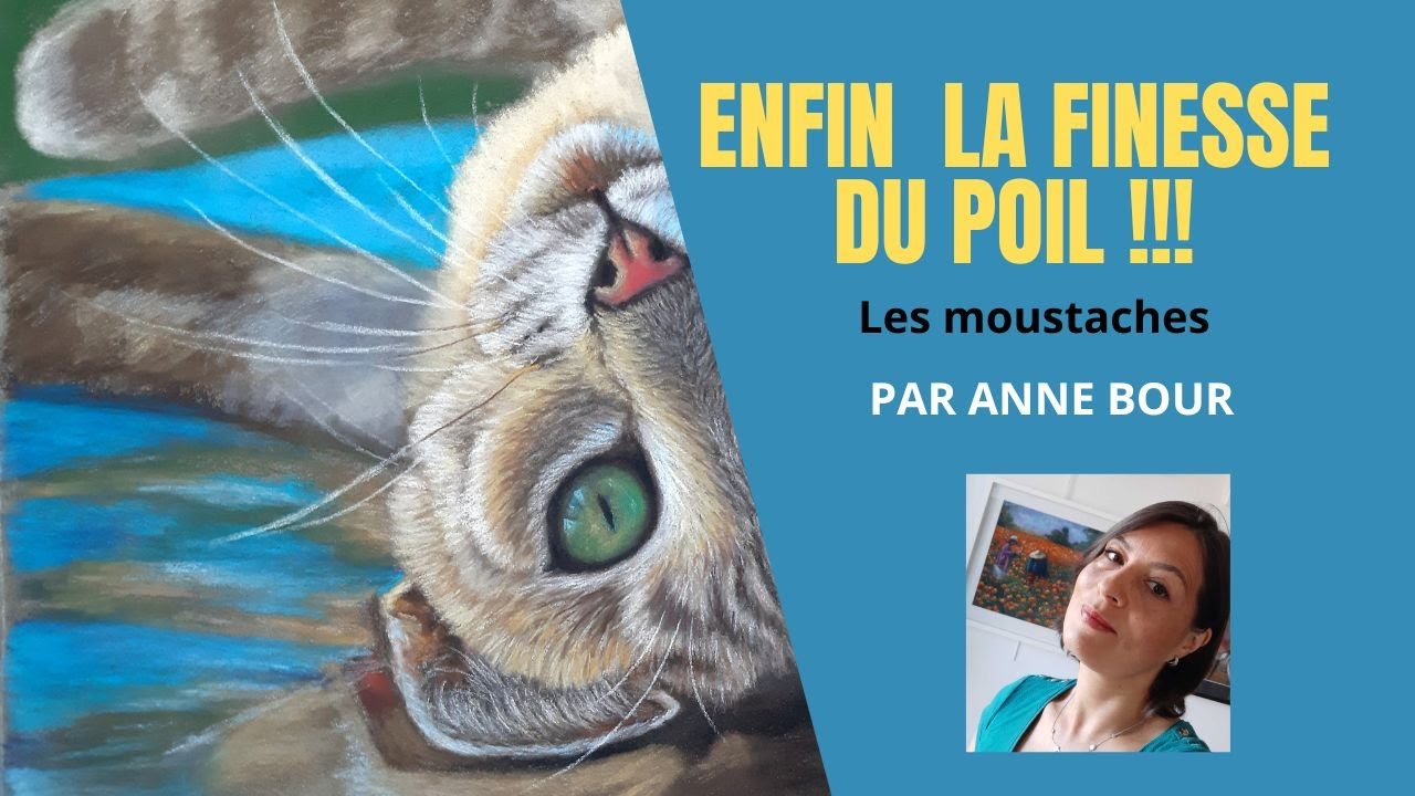 Comment réaliser les moustaches aux crayons pastel. Extrait du cours en vidéo. Par Anne BOUR