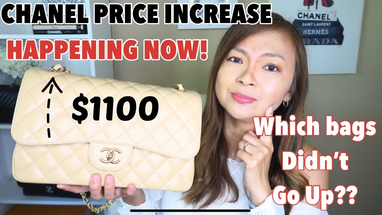 CHANEL PRICE INCREASE HAPPENING NOW | Which pieces didnt go up?