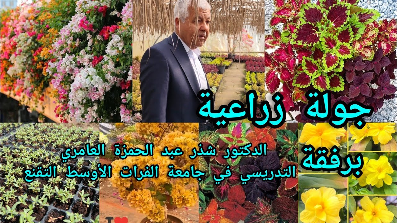 جولة زراعية برفقة الدكتور شذر عبد الحمزة العامري التدريسي في جامعة الفرات الأوسط التقنية العراق 🇮🇶