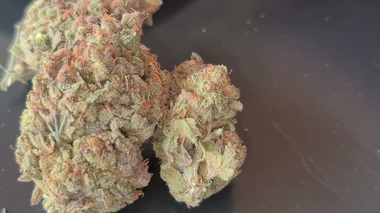 Bl&uuml;tenbericht (strainreview) Tangie bubbles von dspgenetics