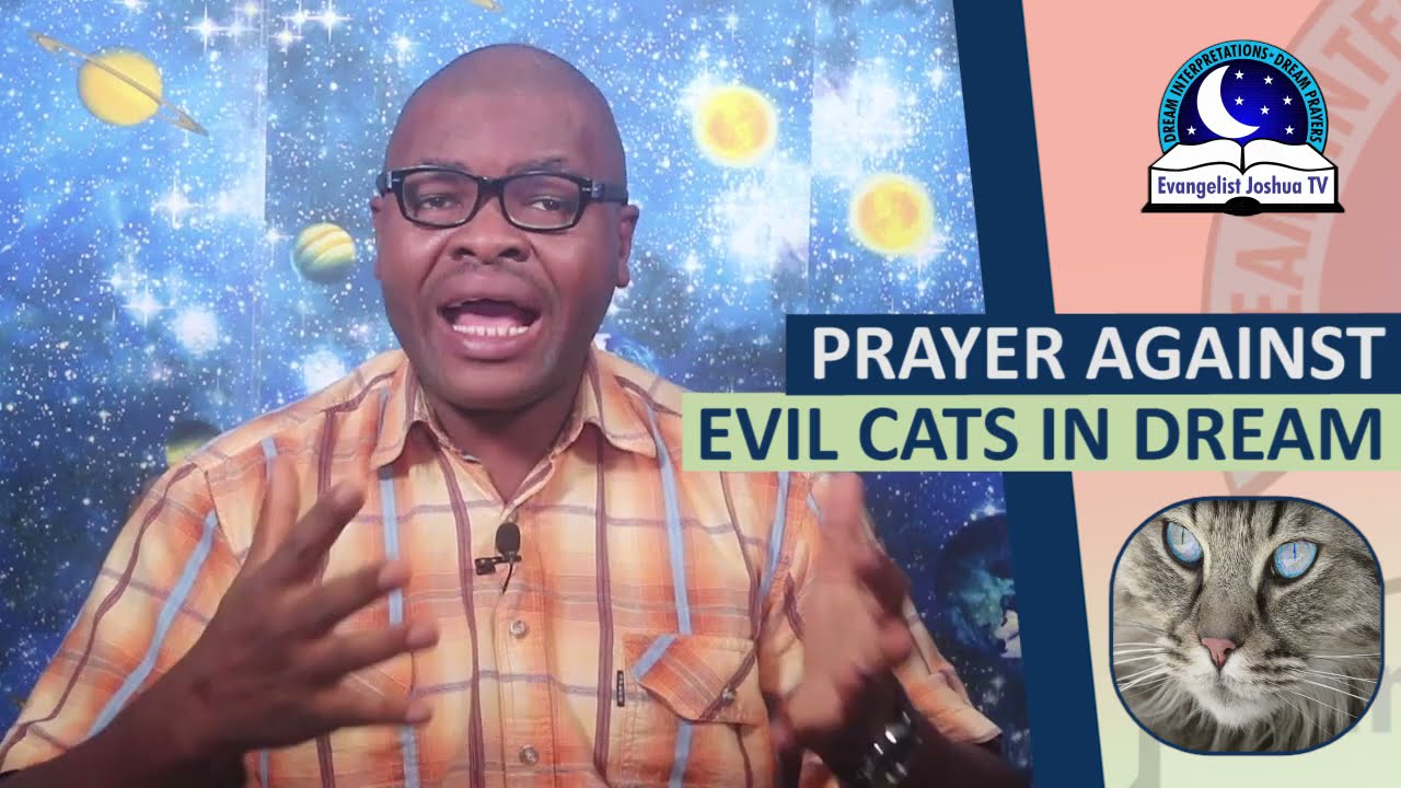 NIGHT PRAYER AGAINST WITCHCRAFT CATS IN DREAM - Evangelist Joshua Orekhie