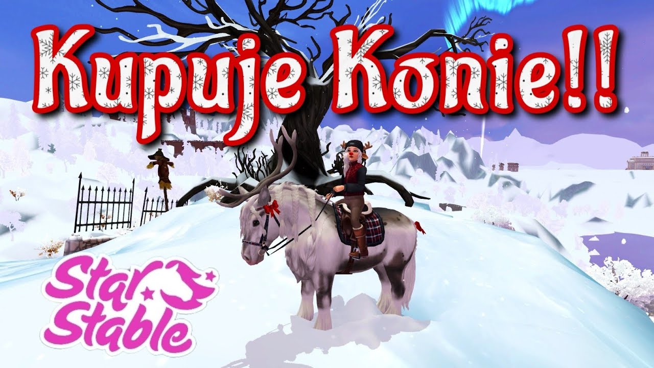 Kupuje Konie!! Aktualizacja || VLOGMAS 18