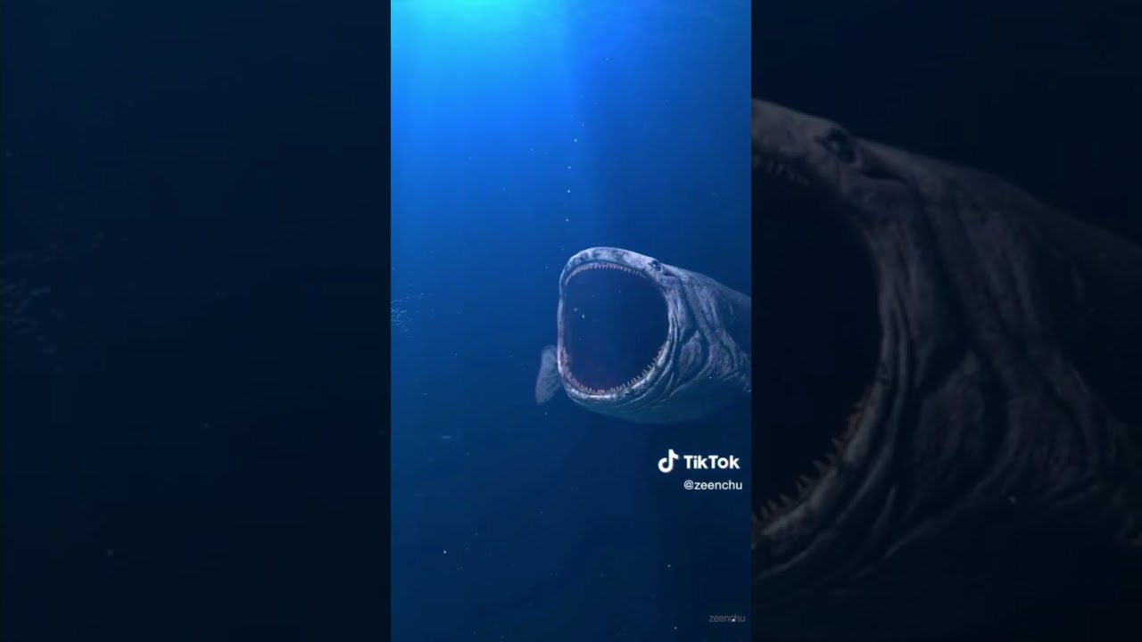 aaaaaaaa #meme #aaaaaaaaaaaaaa #tiktok #Pandora