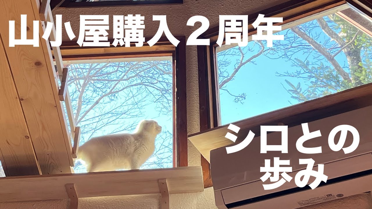【164】願いを聞く不思議な山小屋と元野生猫シロと猫嫌い夫の変化『総集編』