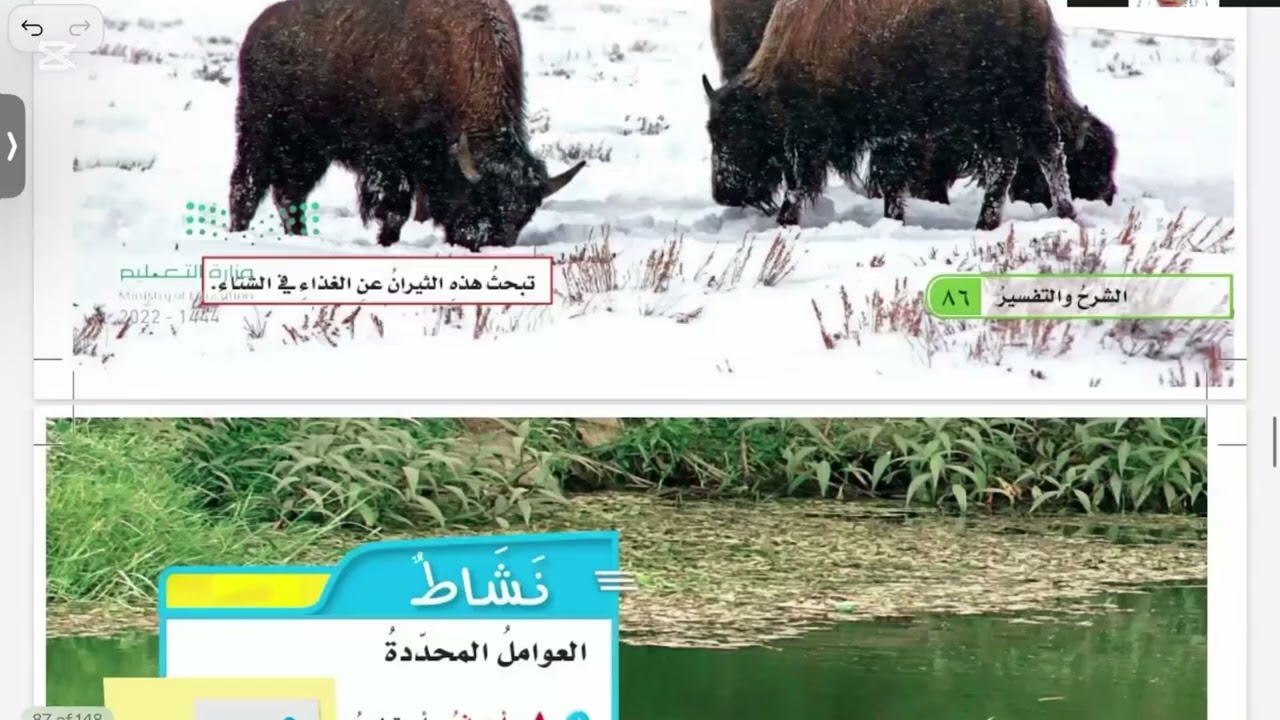 العلاقات في الأنظمة البيئية علوم خامس الترم الاول الجزء الاول