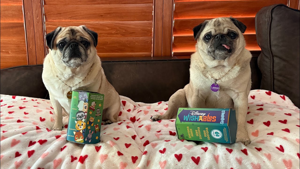 Disney Wishables Zootopia Blind Boxes 