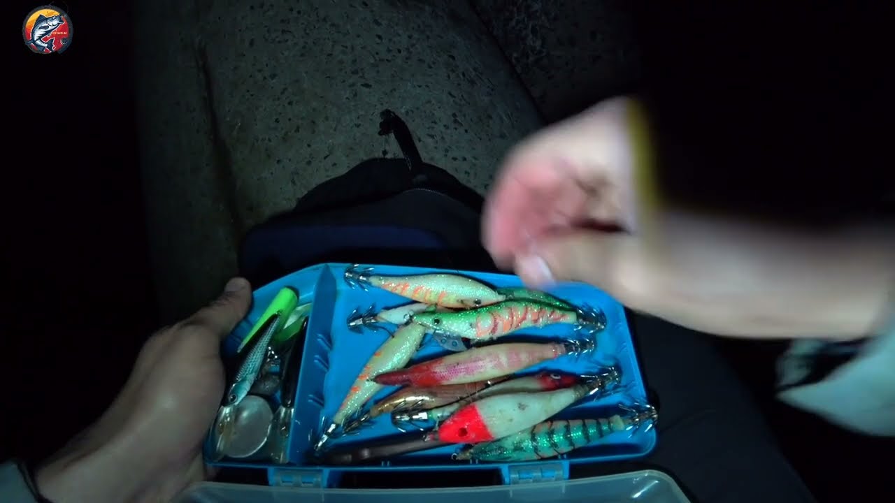 صيد #الحبار في #المضيق بي معدات بسيطة 🎣🎣🎣💯💯👌