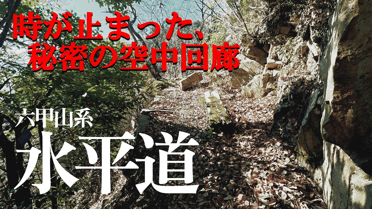 【消えゆく登山道】六甲山「水平道」に眠る、かつての楽園と皮肉なほど美しい絶景