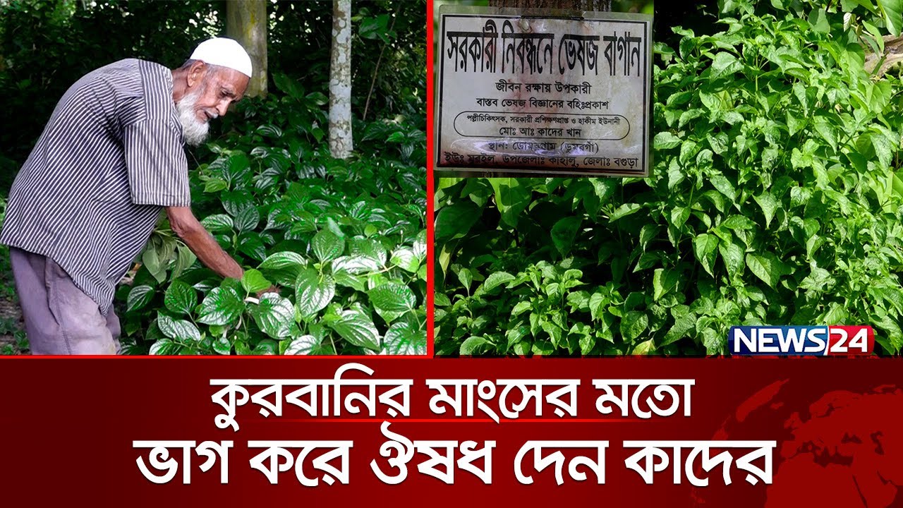 ৬০ বছর ধরে বিনামুল্যে ভেষজ চিকিৎসা সেবা দেন কাদের খান | News24 Special