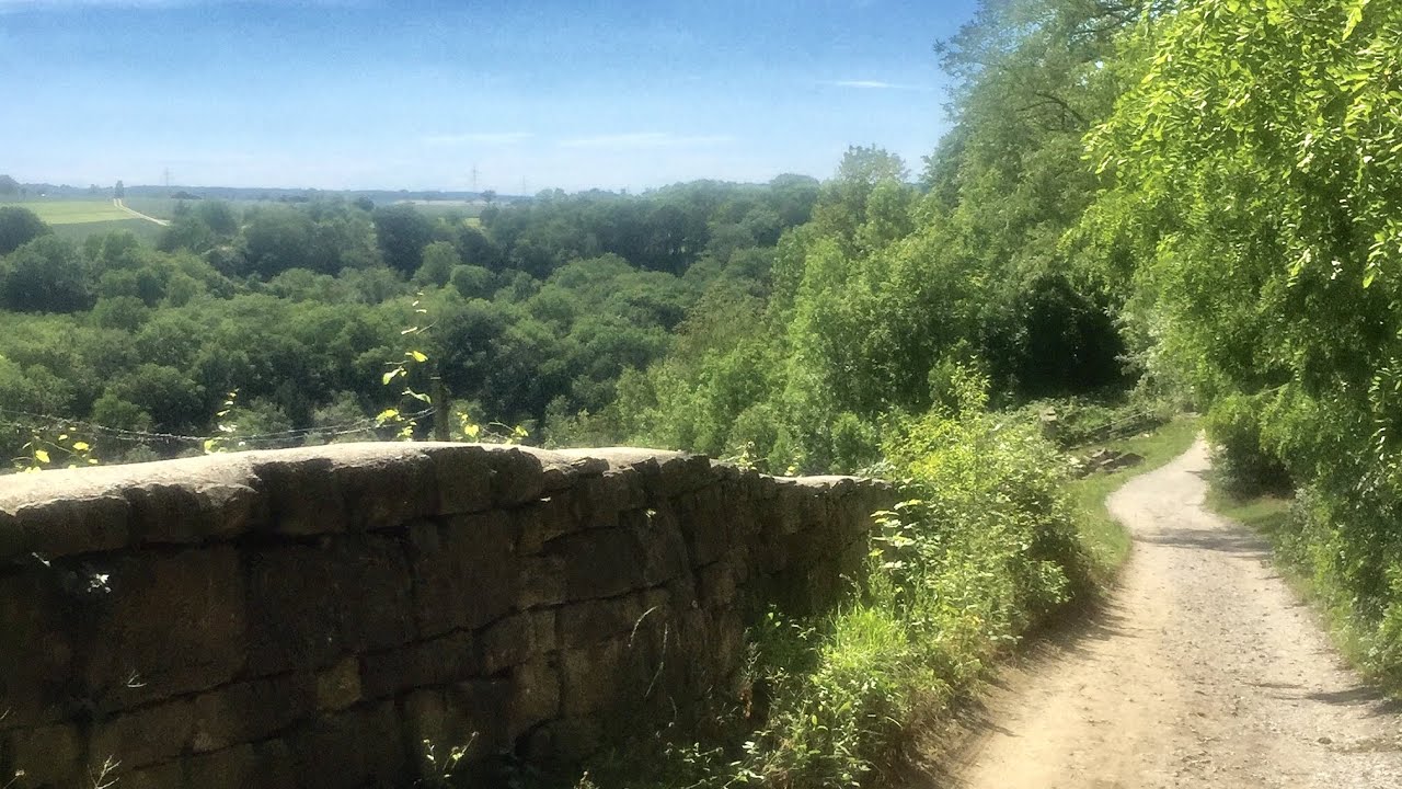 Rotenackerwald