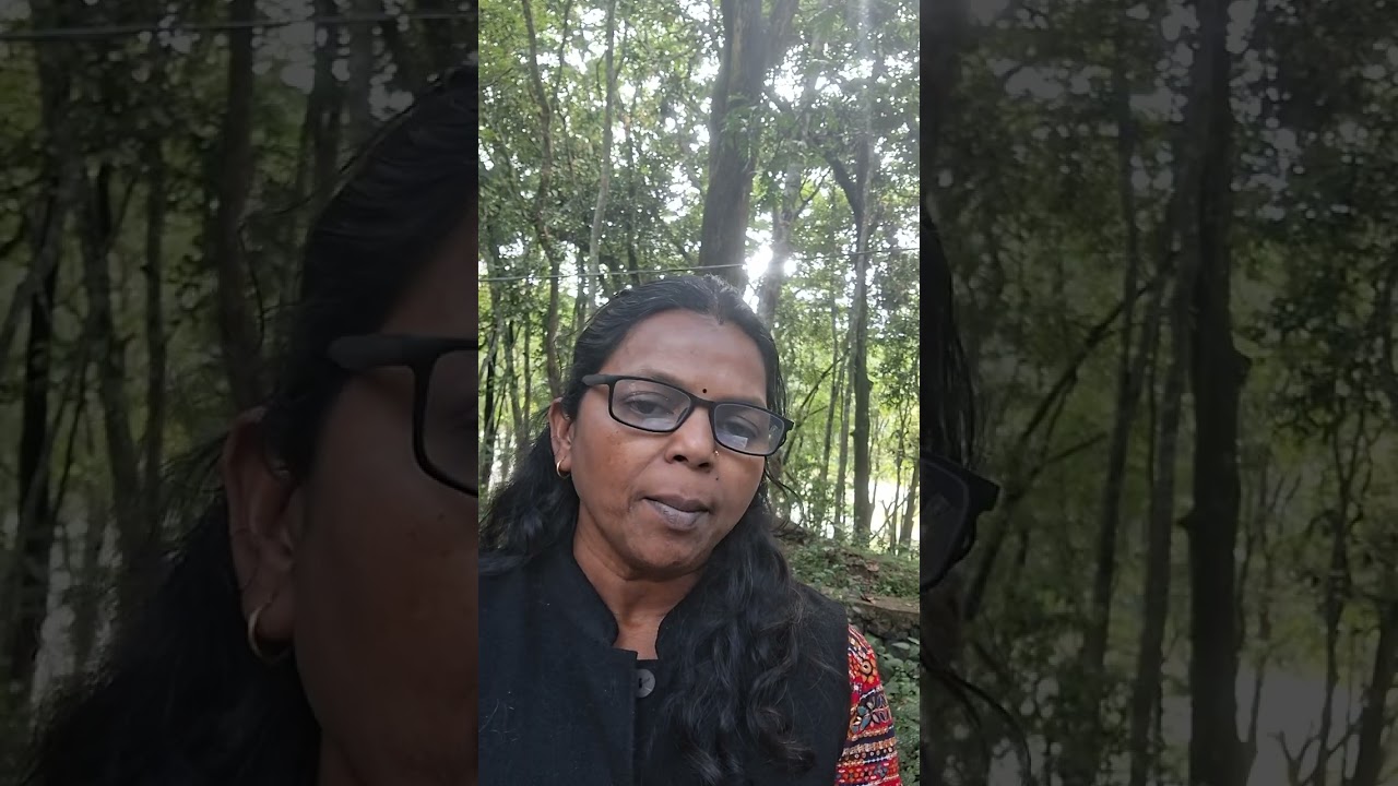 വിദ്യാഭ്യാസം, അച്ചടി, സാഹിത്യം / പെൺകുട്ടികളുടെ വിദ്യാഭ്യാസം