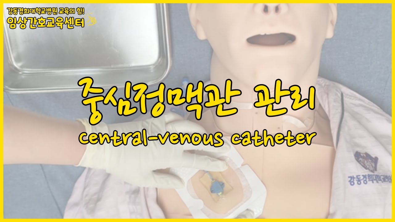 [기본간호] 중심정맥관 관리