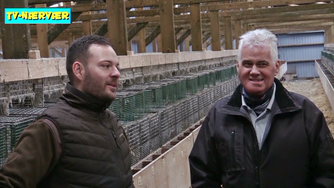 Byens Naturskole: Snekkebjerg Minkfarm, 1. del
