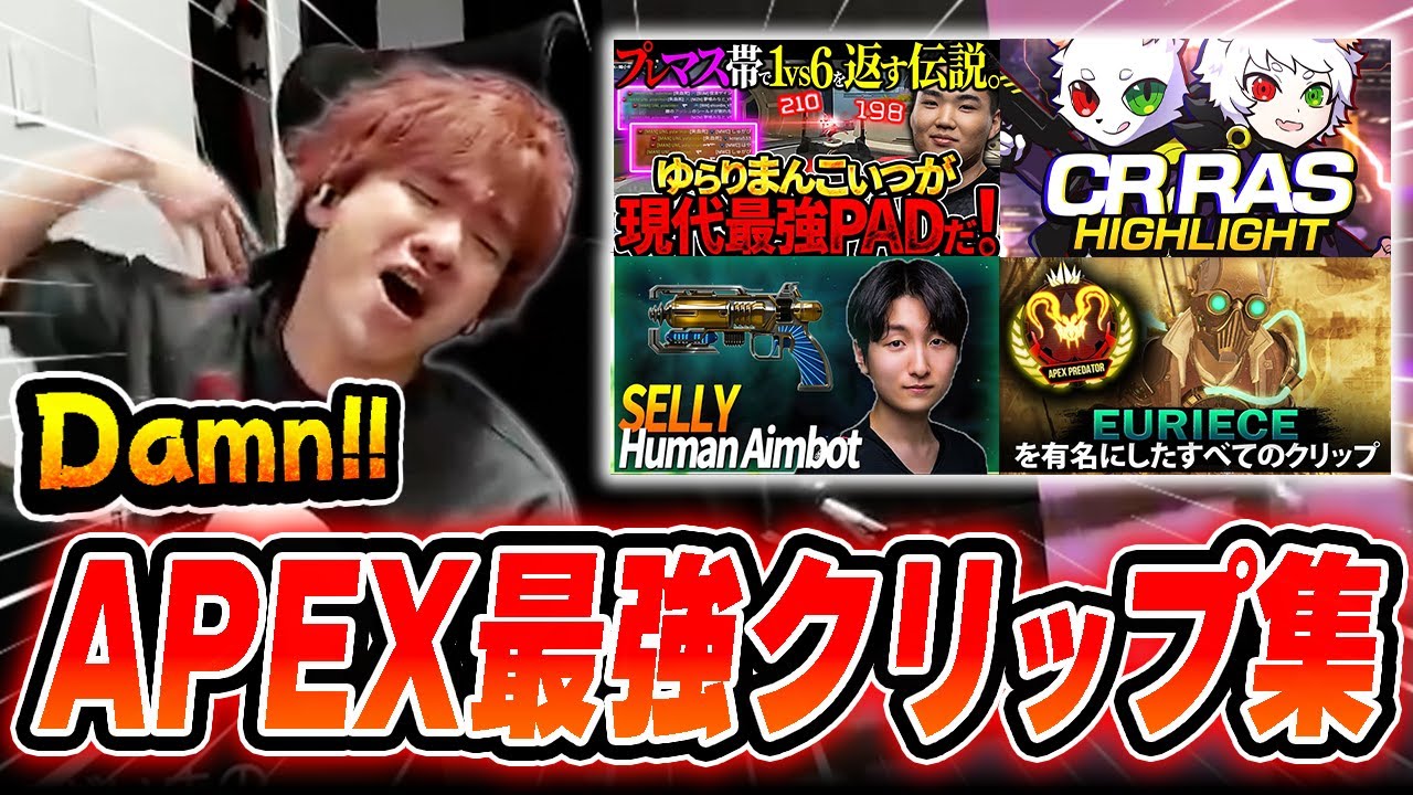 【APEX】最強クリップ集を見漁った後にALGSごっこで自分の実力を試すBiju