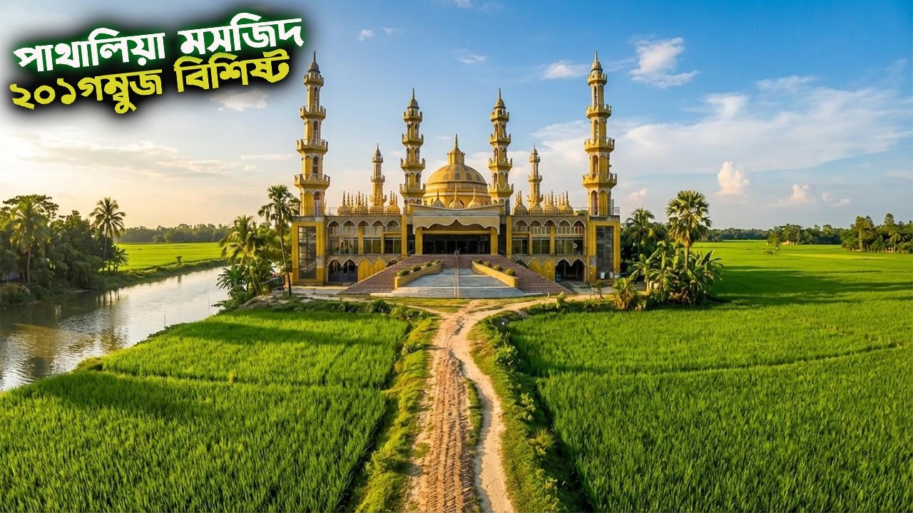 আজকের গন্তব্য ২০১ গম্বুজ বিশিষ্ট মসজিদ পাথালিয়া । পর্ব ১।