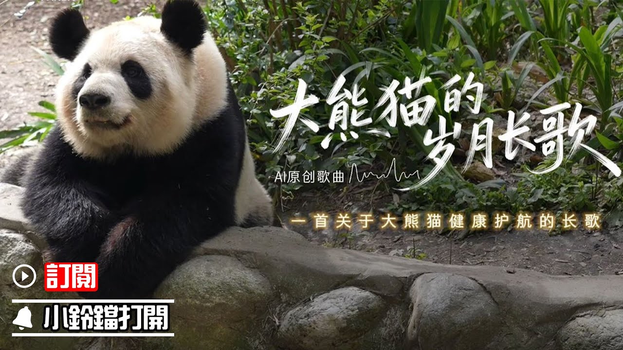 《熊貓主題趴》一起聽！一首關於大熊貓健康護航的長歌 | iPanda熊貓頻道