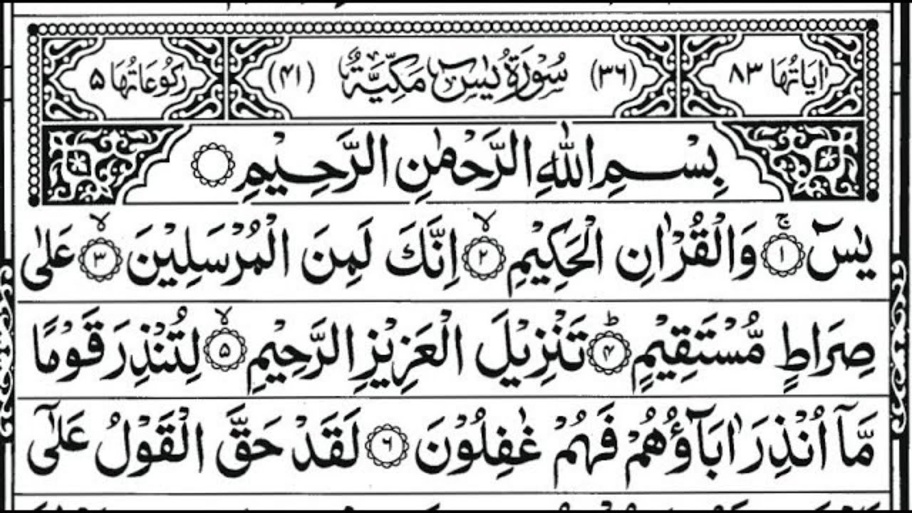 Surah Yasin Rahman Waqiah Tilawat - Daily Quran Episode 599