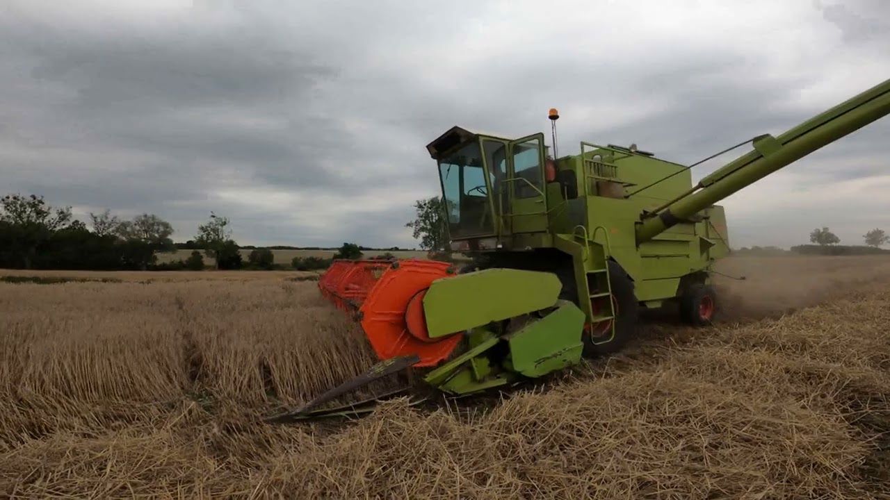 Żniwa 2023 Zakończone ! Claas Dominator 85 w jednych rękach od ponad 20lat ! Piękny dźwięk silnika !
