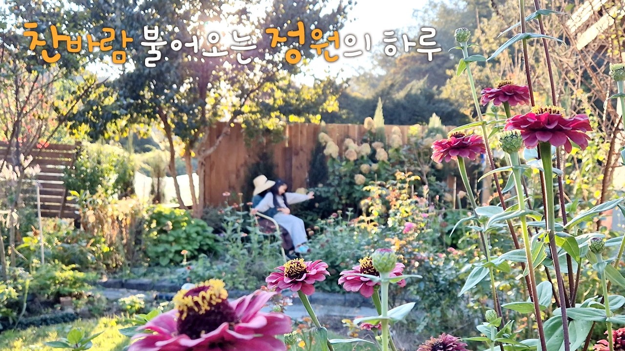 찬바람 불어오면, 식물들과 함께 맞는 계절의 변화 | 화분 & 모종의 새 보금자리