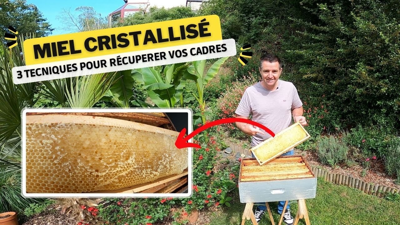 Miel cristallisé dans vos cadres : 3 techniques pour les récupérer !