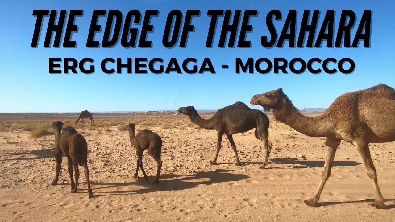 A Solo Nomad in Morocco | The Dunes of Erg Chigaga Desert | My One Month Travel Itinerary: Part 3