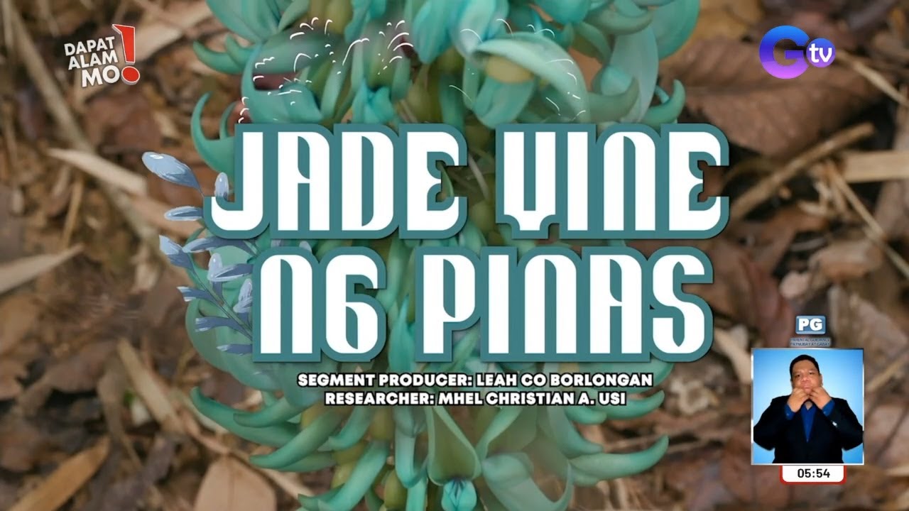 Jade vine, ang halaman na bida sa limang piso na barya! | Dapat Alam Mo